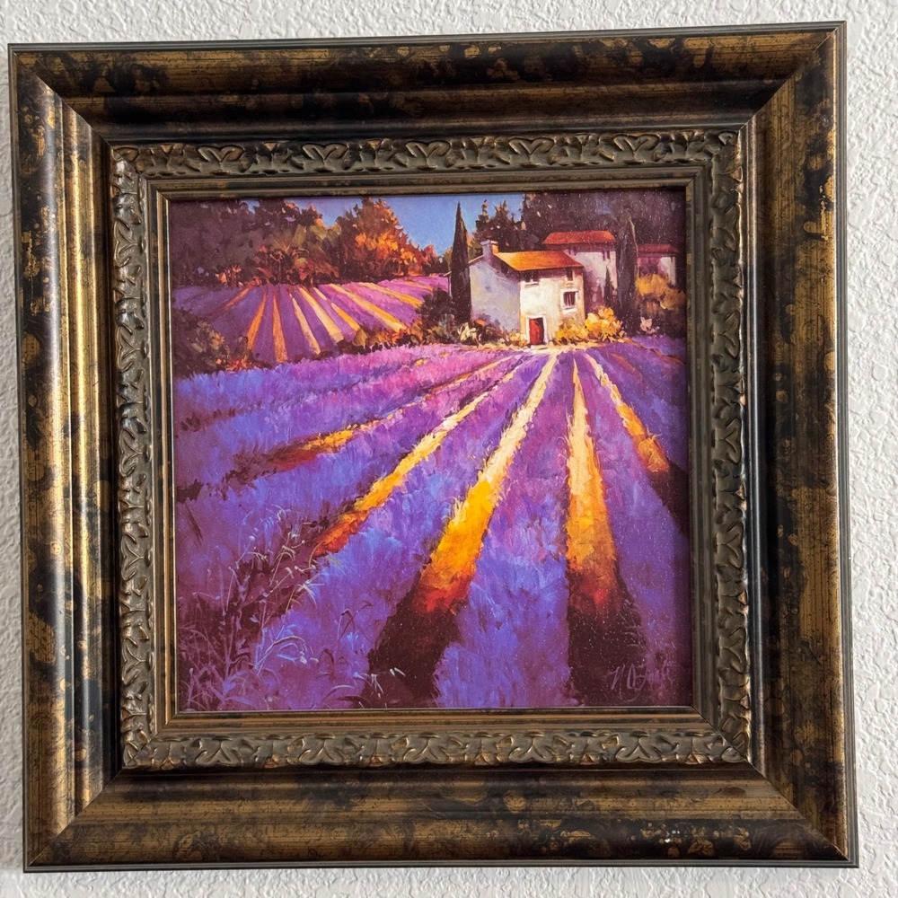 Nancy O'Toole Evening Light Provence Framed Art Print Lavender Field 12.5x12.5